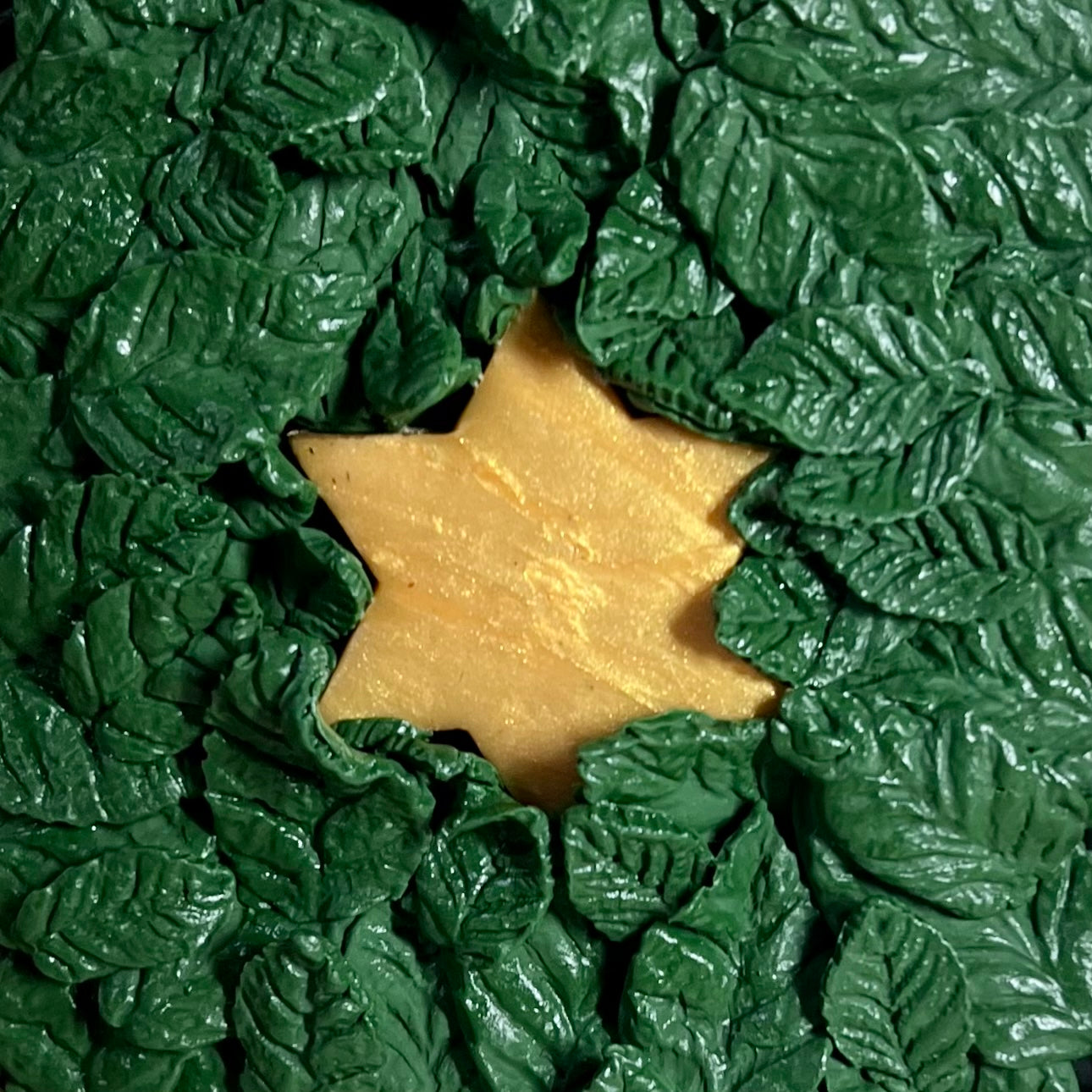 Leaf and Gold Star of David Framed Wall Art