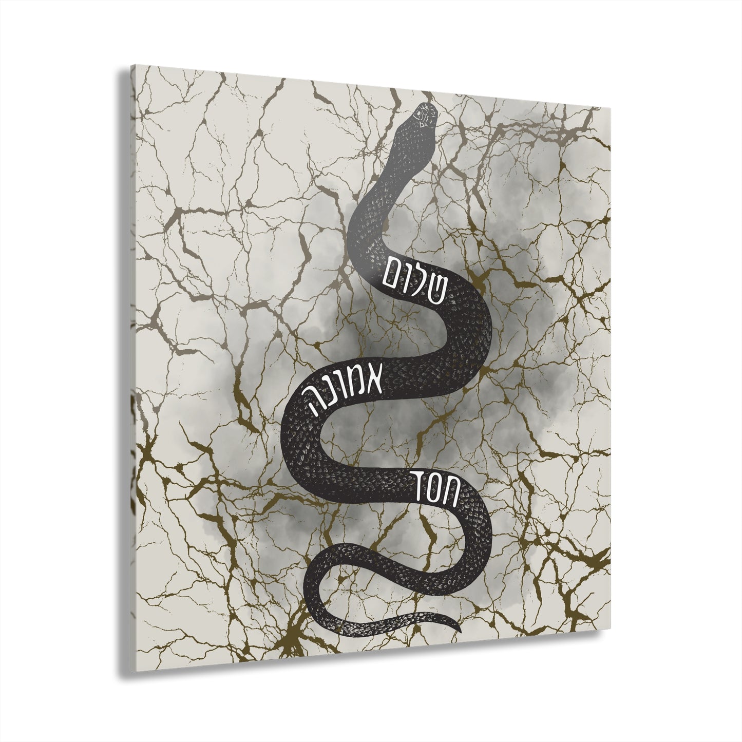 Snake Acrylic Wall Art Print