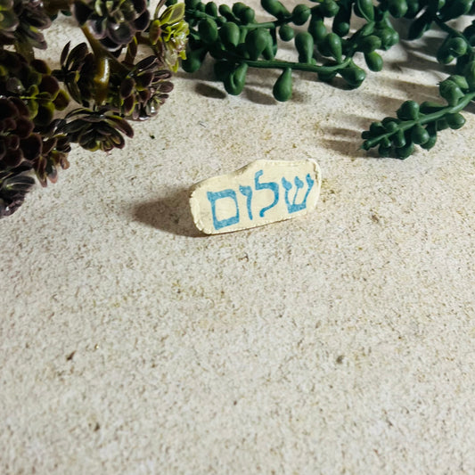 Shalom Pin